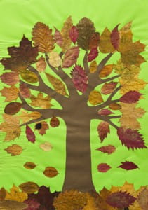 Leaf Tree Collage